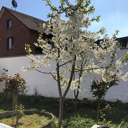 Ferienwohnung Kleve-Kellen Kleve  Exterior foto