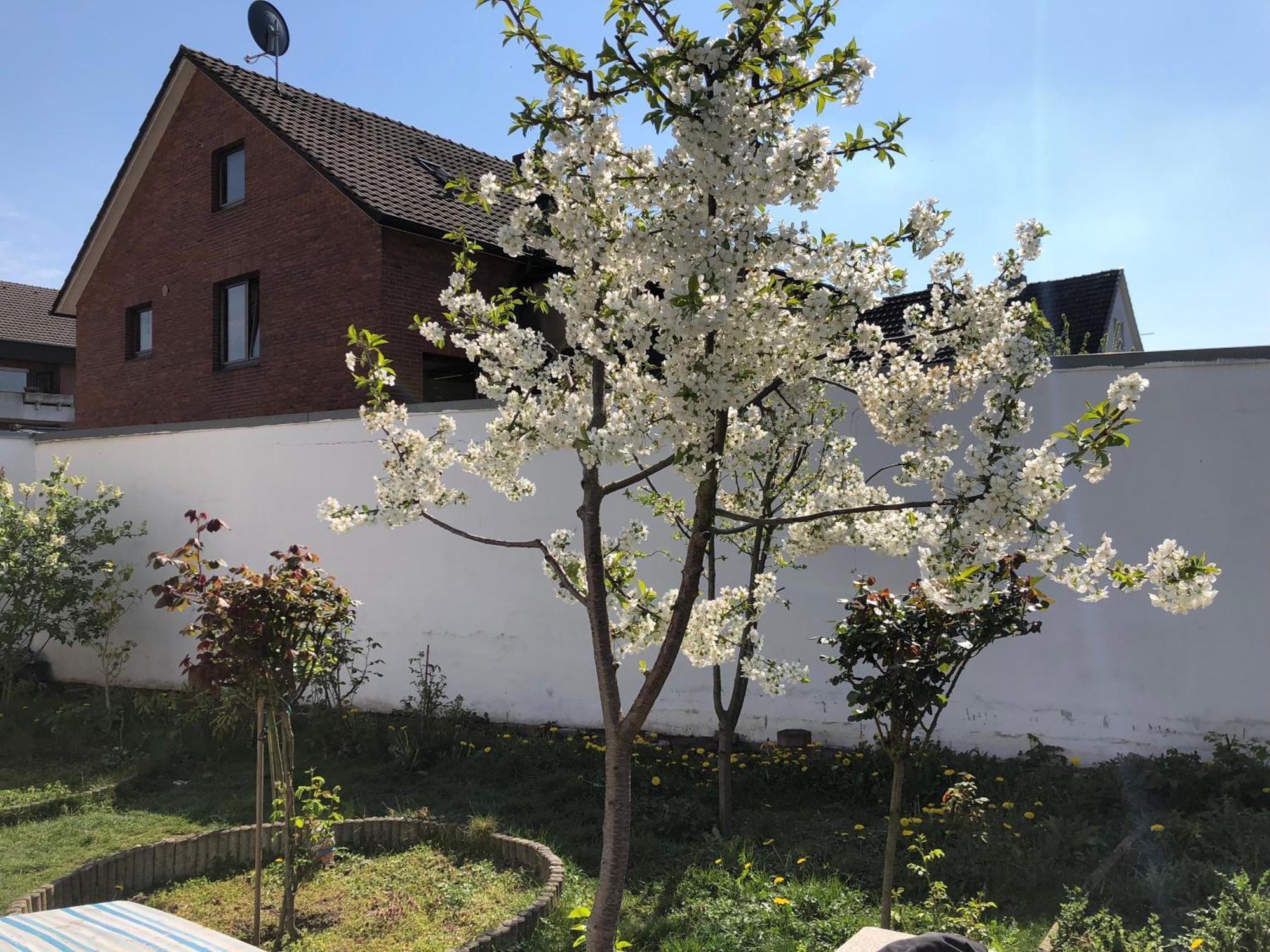 Ferienwohnung Kleve-Kellen Kleve  Exterior foto